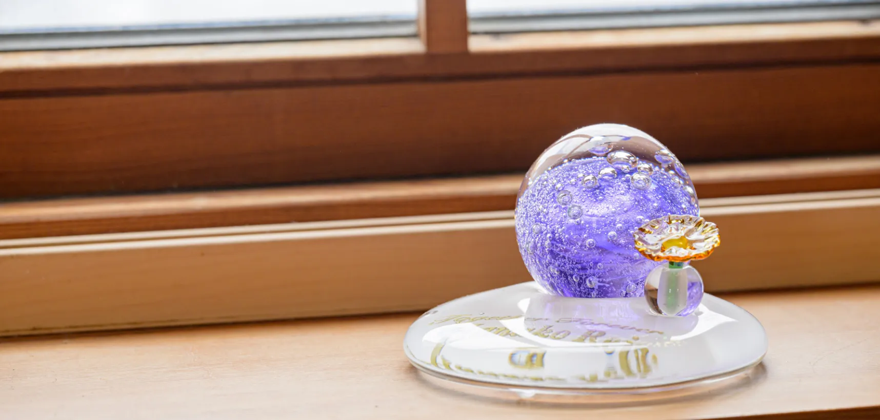 飾られている商品の写真